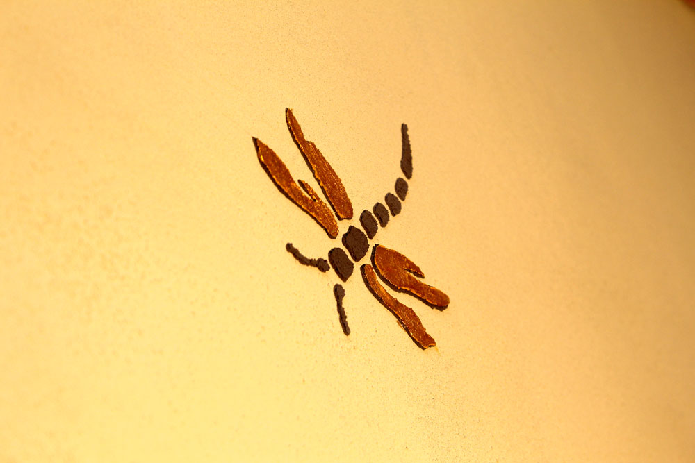 Libelle_Kalkputz_01