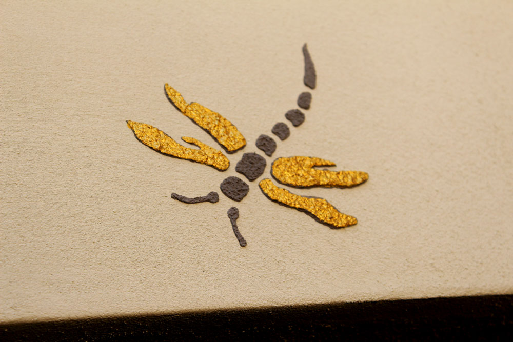 Libelle_Kalkputz_02
